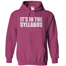 Load image into Gallery viewer, It's In The Syllabus - T Shirt - sangria_6b6dc784-2c70-4b94-89c2-05b6e67fb3c2